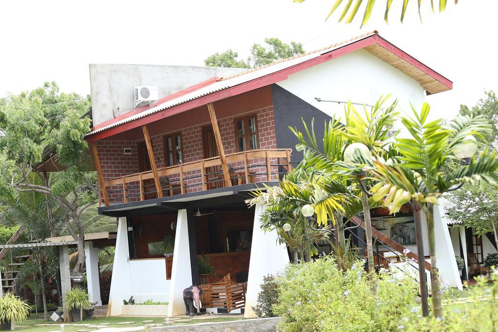 Eco Hotel Black & White - Anuradhapura Mihintale Luaran gambar