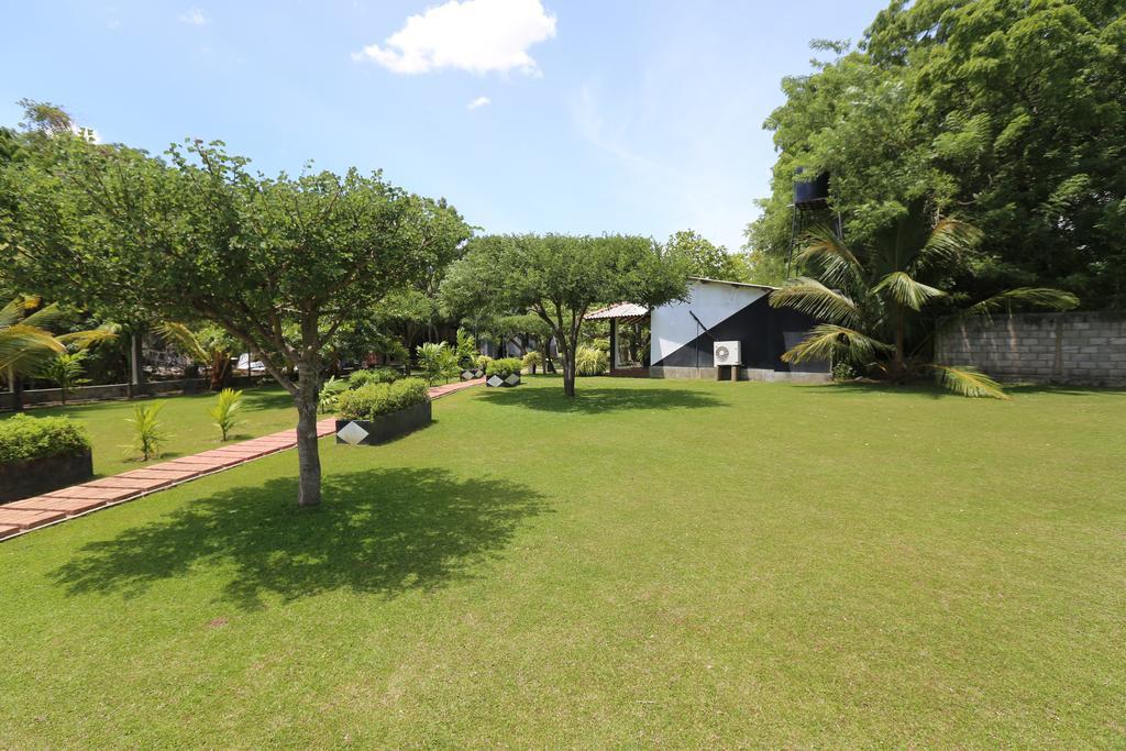 Eco Hotel Black & White - Anuradhapura Mihintale Luaran gambar