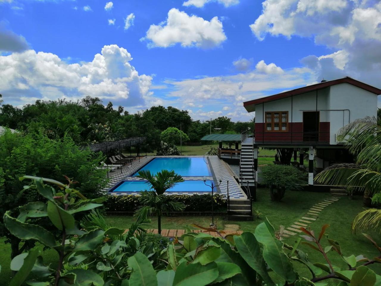 Eco Hotel Black & White - Anuradhapura Mihintale Luaran gambar